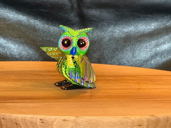 Lil Owl by Armando Carrillo