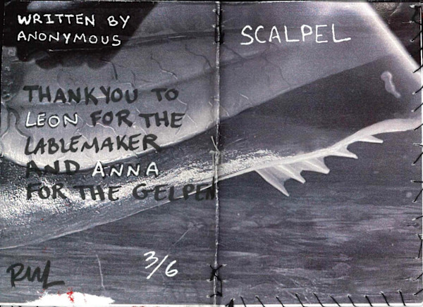SCALPEL zine 3 by Becca Lewis
