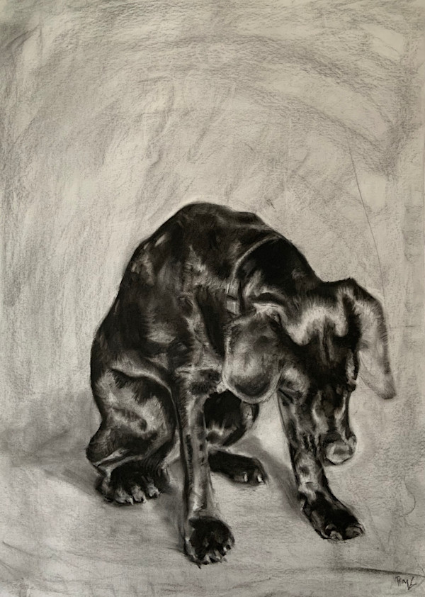Charlie by Becca Lewis