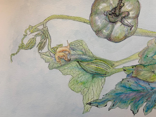 Garden by Becca Lewis