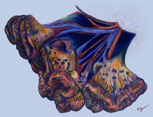 Still Life by Becca Lewis