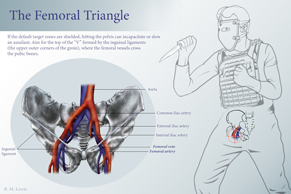 The Femoral Triangle by Becca Lewis