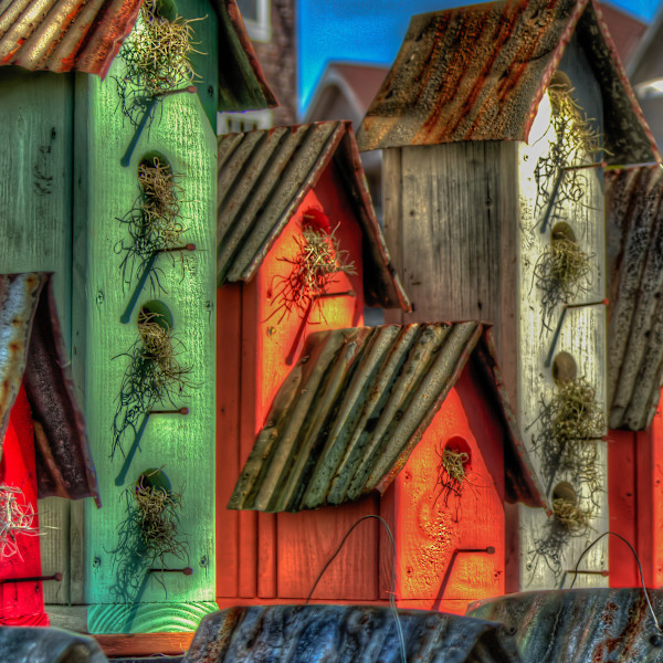 Birdhouses by George H Wood