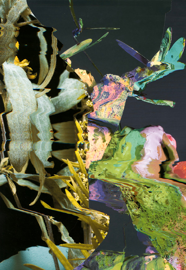 Phenotype 246 by Jordan Martins, Image 1.