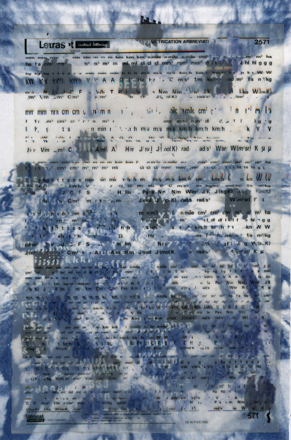 Mangrove Metrication