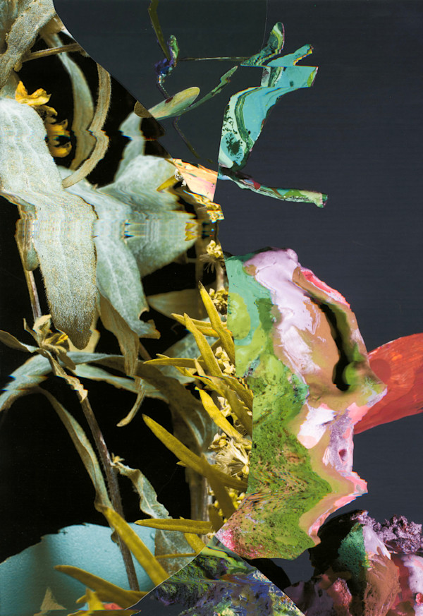 Phenotype 247 by Jordan Martins, Image 2.
