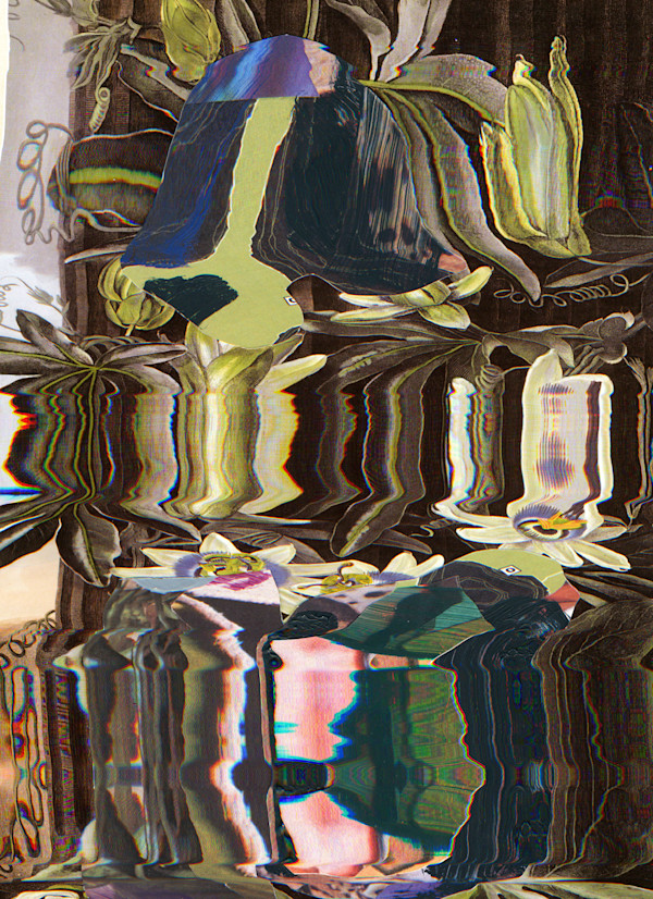 Dark Forest by Jordan Martins, Image 7.