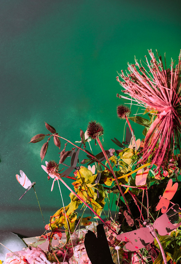 Untitled (Dragonflies and dead flowers) by Jordan Martins, Image 10.