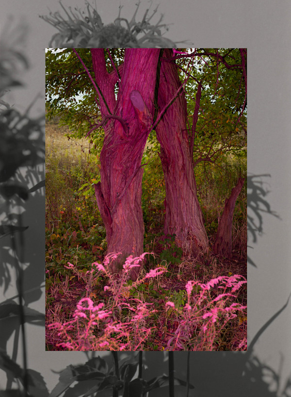 Vibrations reach on up to become light (II)