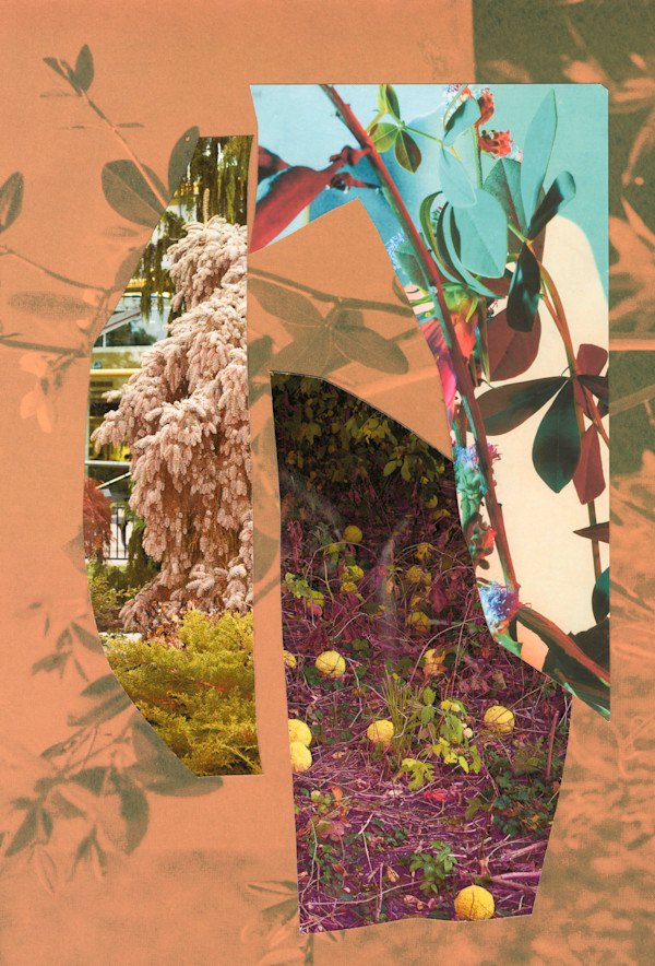 2026_005 by Jordan Martins, Image 4.
