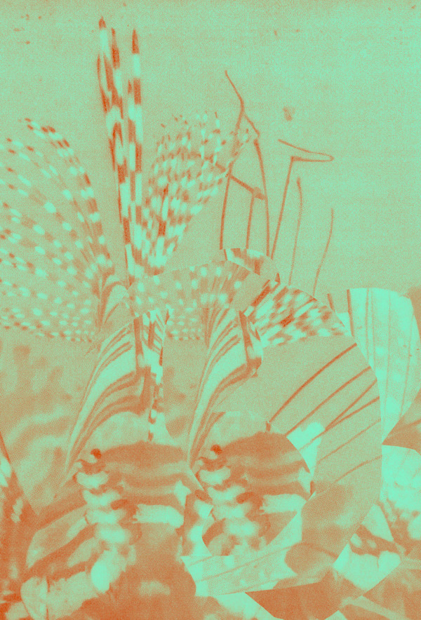 2026_015 by Jordan Martins, Image 14.