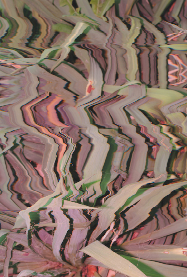 2026_041 by Jordan Martins, Image 11.