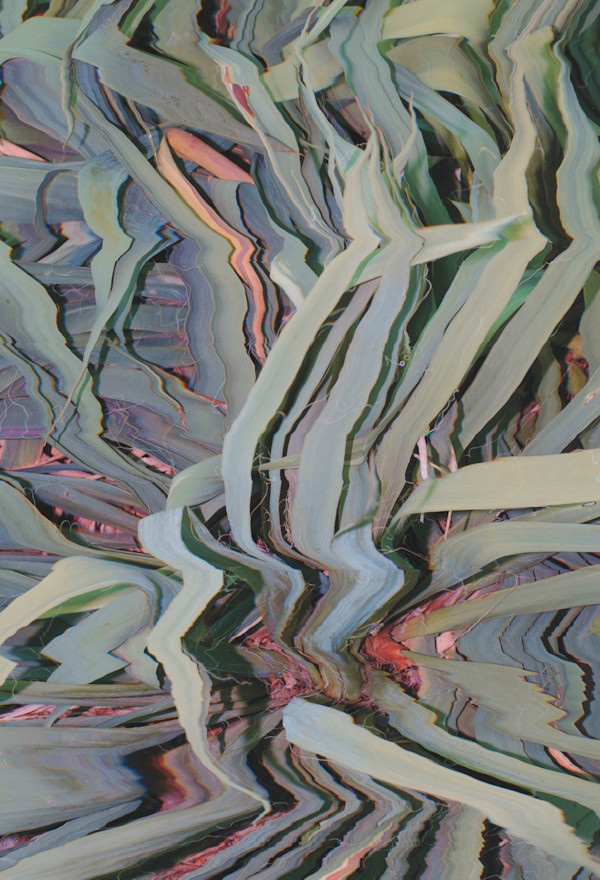 2026_039 by Jordan Martins, Image 12.
