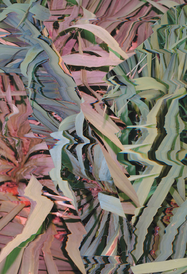 2026_054 by Jordan Martins, Image 10.