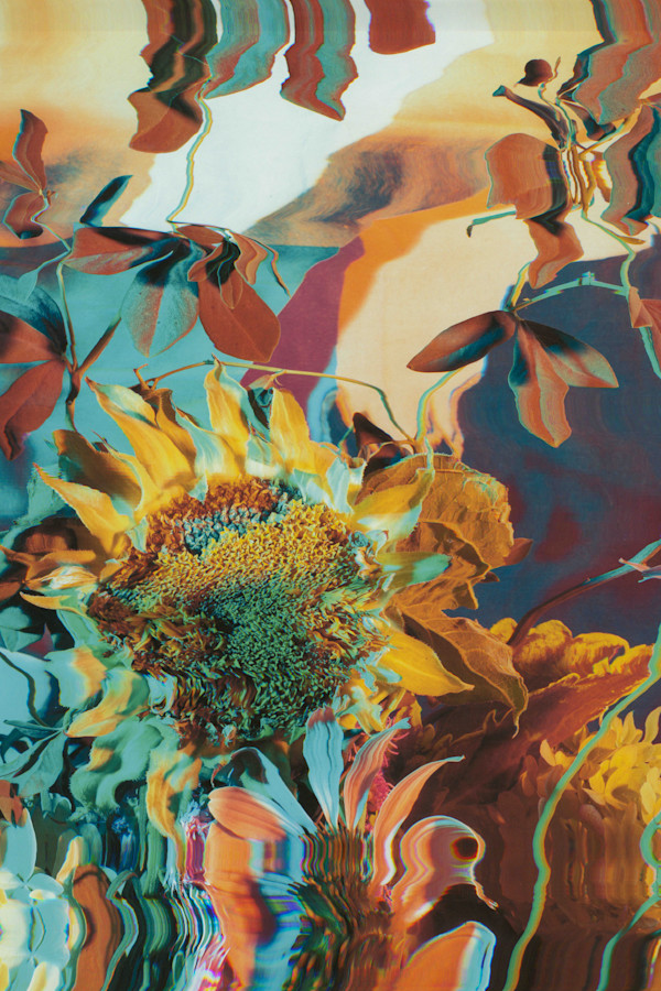 Festoon III by Jordan Martins, Image 6.
