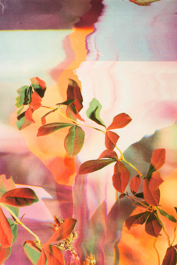 Festoon I by Jordan Martins, Image 10.