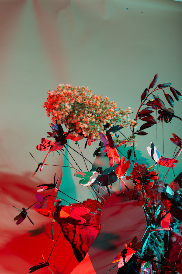 Untitled (Dragonflies in red and green)