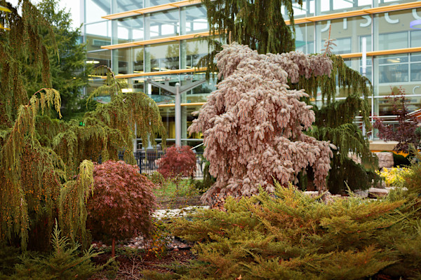 And then through gamma, out of sight