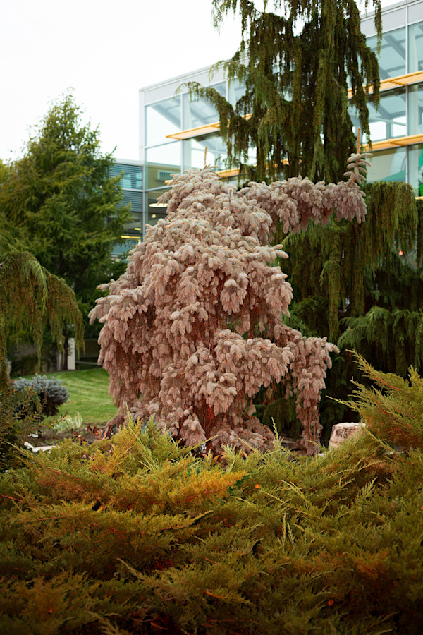 The sounds of color and the light of a sigh