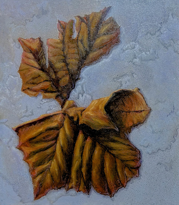 My Former Leaf by Timothy Griffith, Image 1.