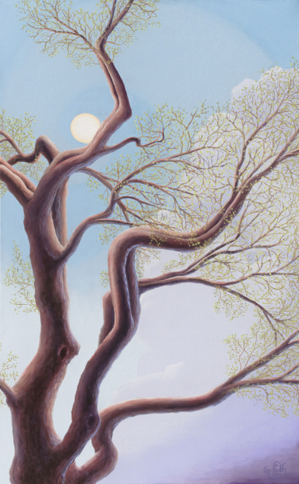 A Hint of Spring by Timothy Griffith