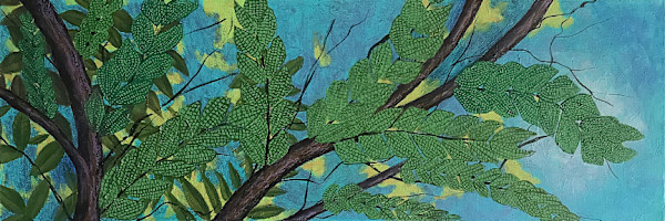Branches by Timothy Griffith