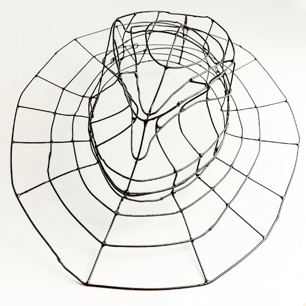 Wire Frame Fedora by Timothy Griffith