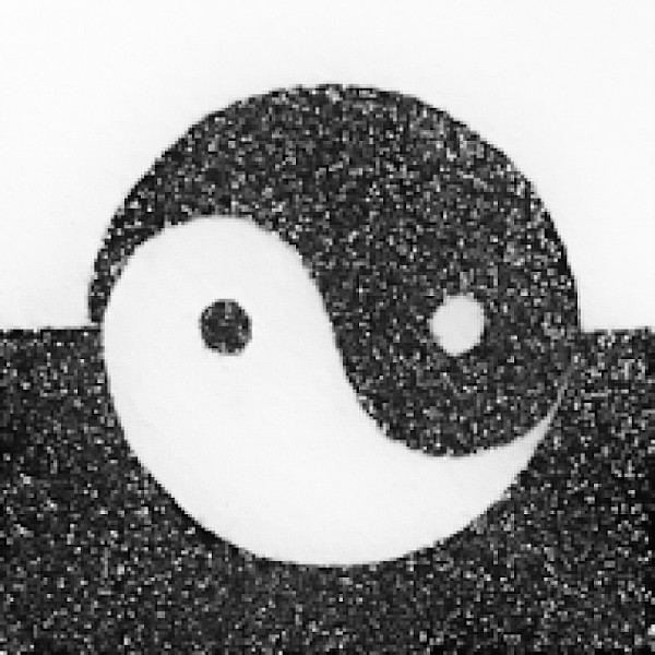 Yin Yang by Timothy Griffith
