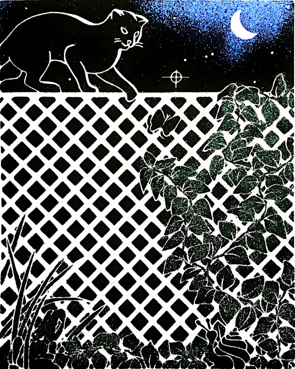 Eine Kleine Nacht Musik by Timothy Griffith
