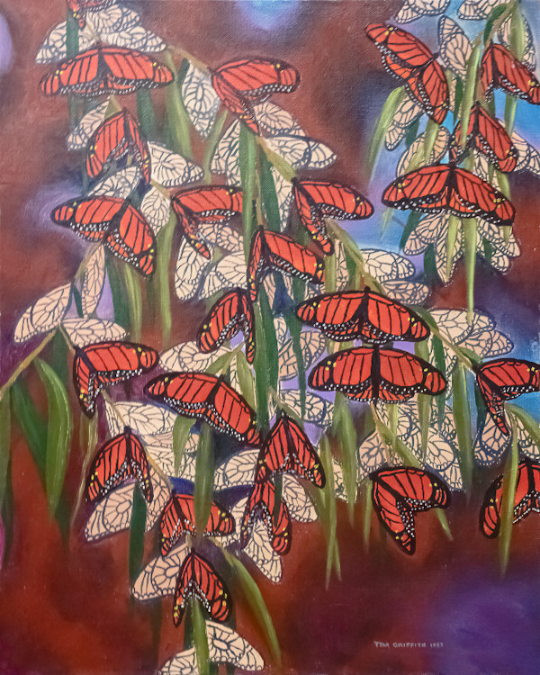 Michoacan Migration by Timothy Griffith