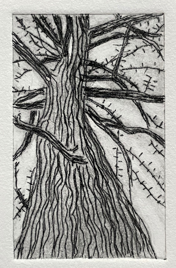 (Teeny Tiny) Gingko by MK Wynn