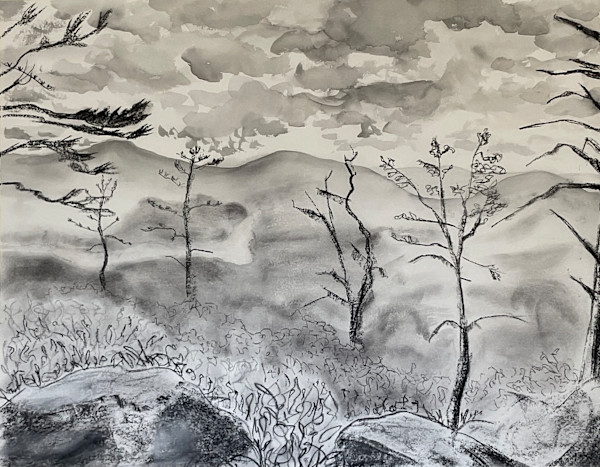 Catskills by MK Wynn