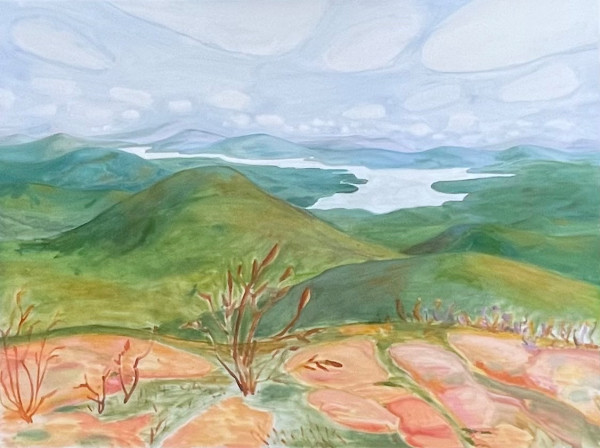 View from Wittenberg Mountain by MK Wynn