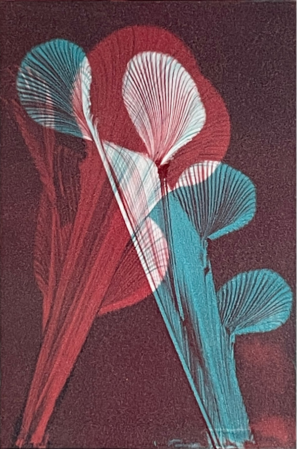 Pyrotechnic by MK Wynn