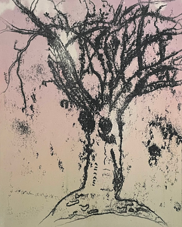 (Tree Portrait #22) Old Lyme Cherry Tree II by MK Wynn