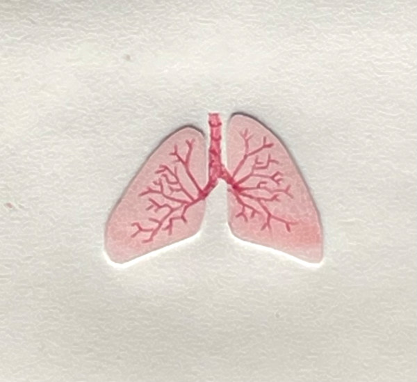 (Teeny Tiny) Breathe II by MK Wynn