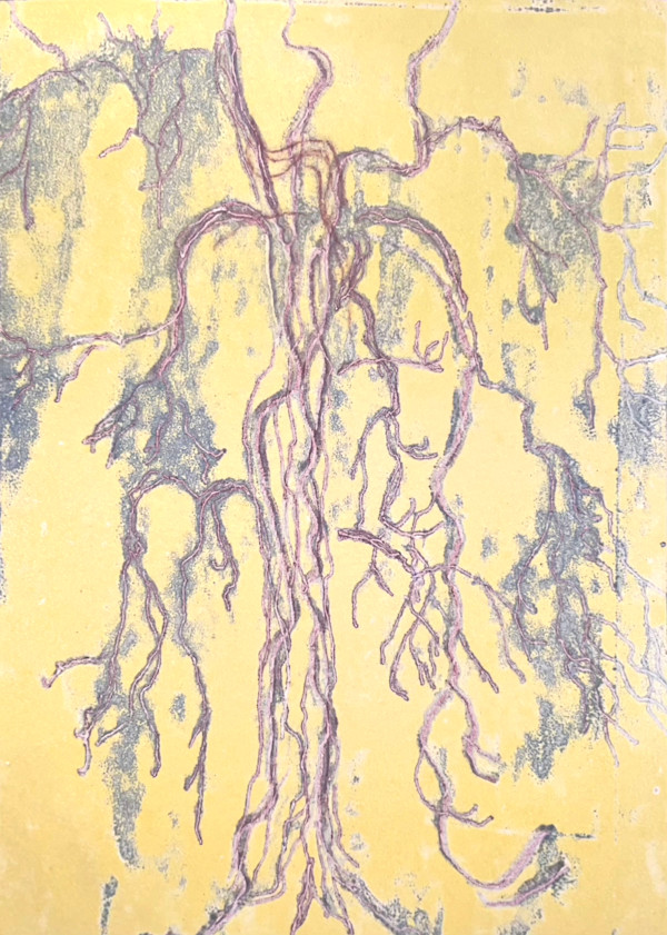 (Tree Portrait #46) Pin Oak III by MK Wynn