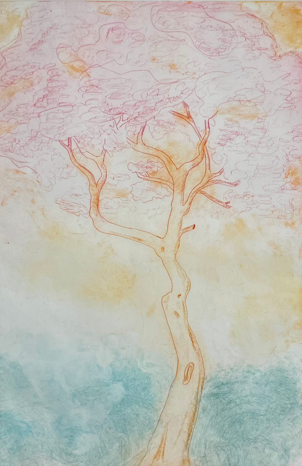 (Tree Portrait #10b) Sicilian Umbrella Tree II by MK Wynn