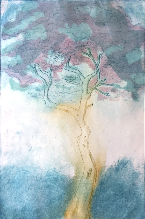 (Tree Portrait #10c) Sicilian Umbrella Tree III by MK Wynn