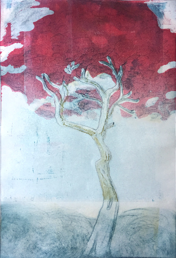 (Tree Portrait #10d) Sicilian Umbrella Tree IV by MK Wynn