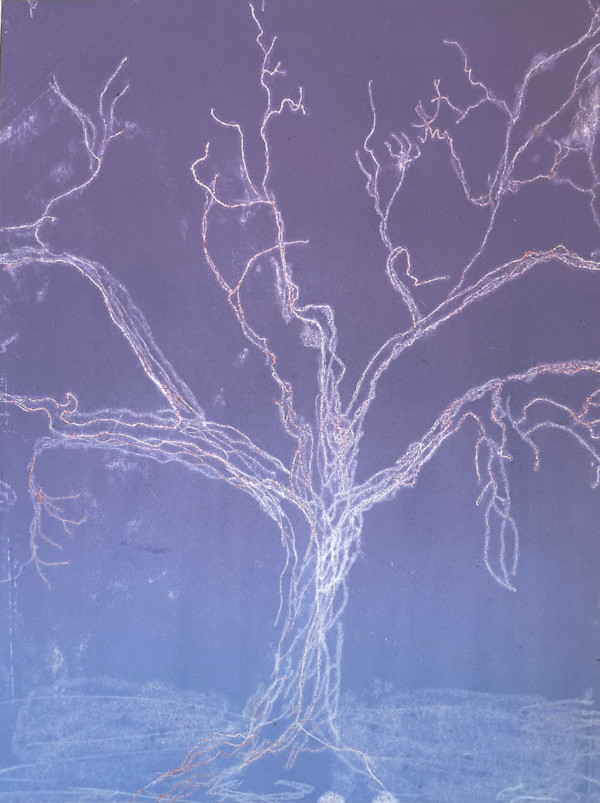 (Tree Portrait #49) Oak in Rovensky Park by MK Wynn