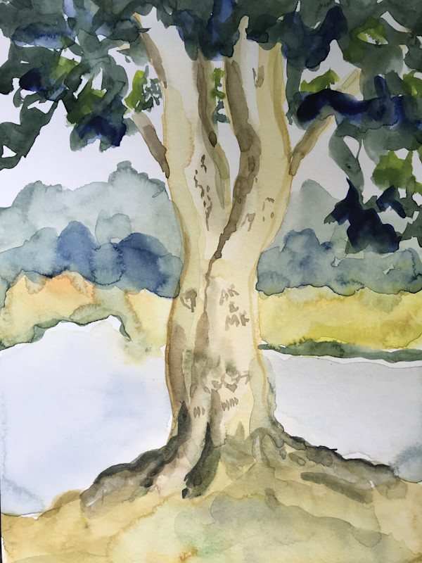 (Tree Portrait #10) Essex Beech by MK Wynn