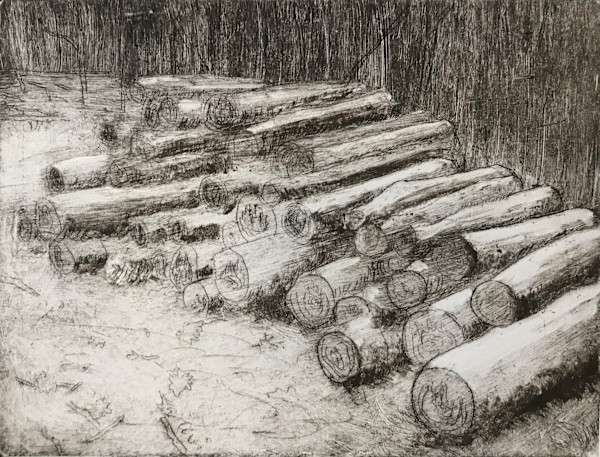 Calhoun Pasture Parcel #719 by MK Wynn