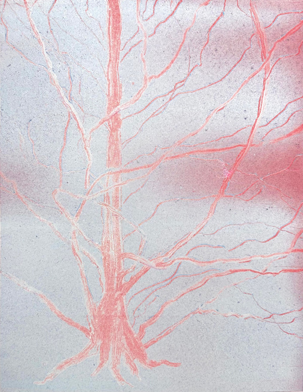 (Tree Portrait #34) Curly Willow, Rovensky Park, Newport by MK Wynn