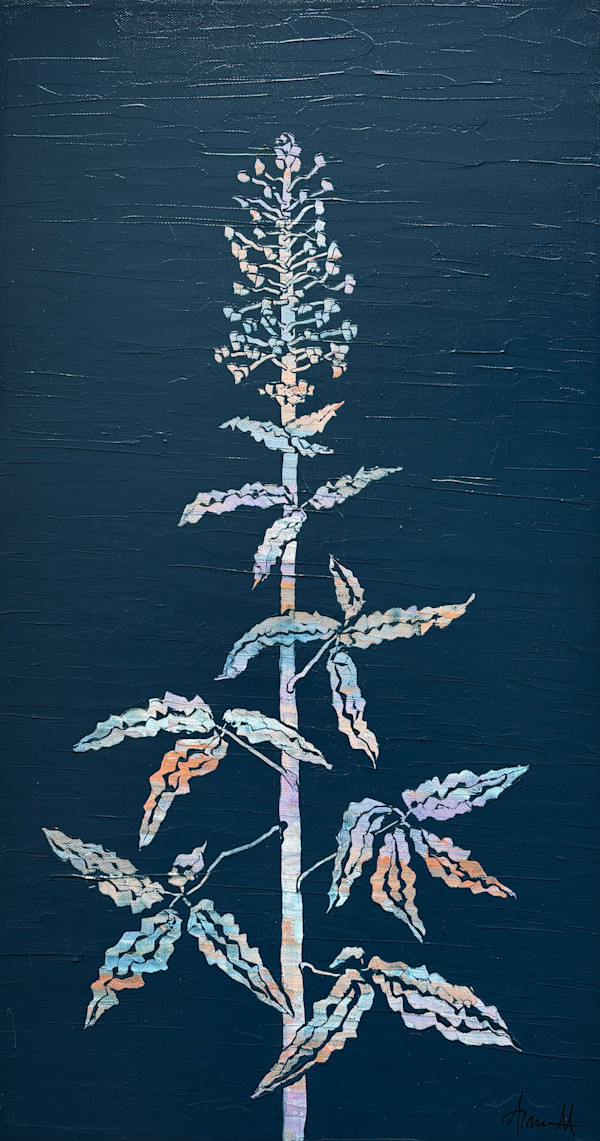 Wild Spire by Aimee Maschhoff