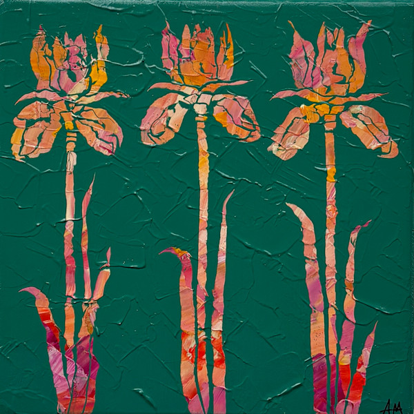 THREE by Aimee Maschhoff
