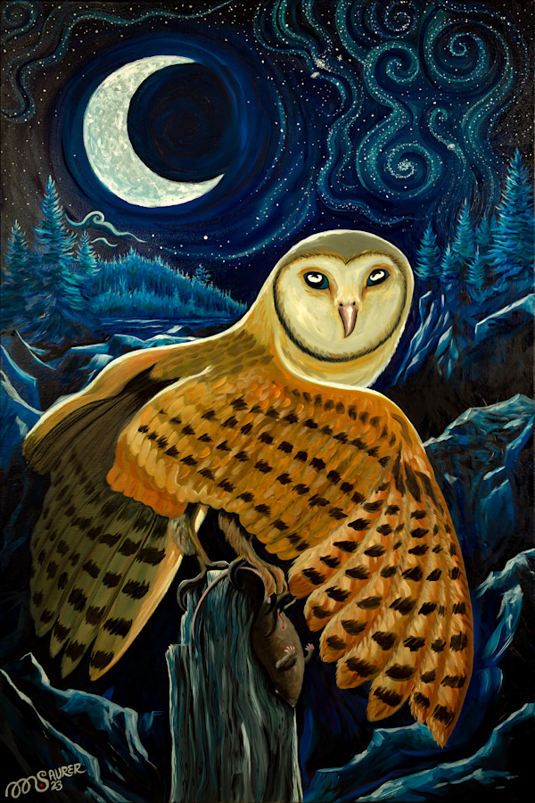 Maine Barn Owl by Marissa Kayne Saurer