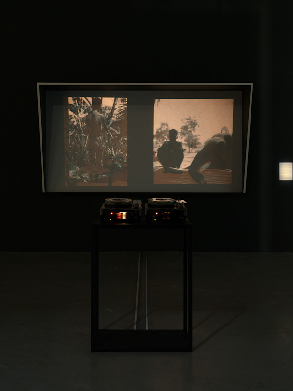 Forêt, Femme, Folie by Thảo Nguyên Phan