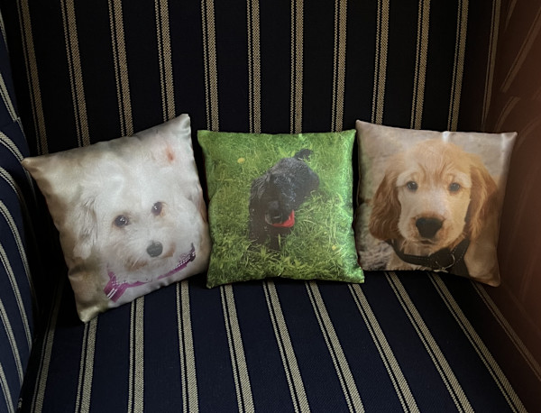 Custom Photo Cushions by Katrina Sjoberg, Image 1.