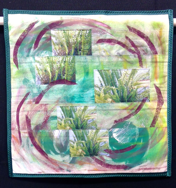 Ferns by Katrina Sjoberg